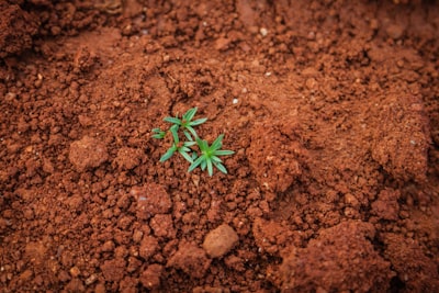 كرةالقدمأكثرمنمجردلعبة،إنهاشغفوحياة